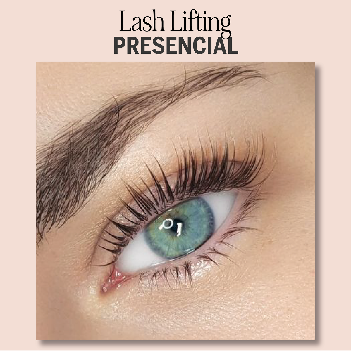 Curso Lash lifting